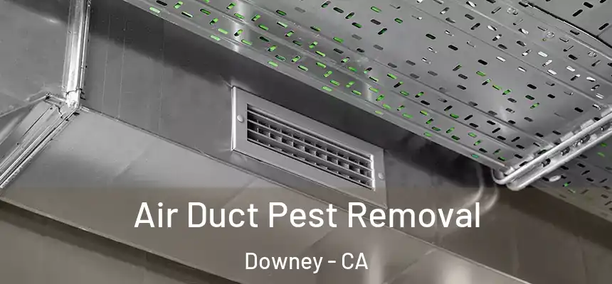 Air Duct Pest Removal Downey - CA
