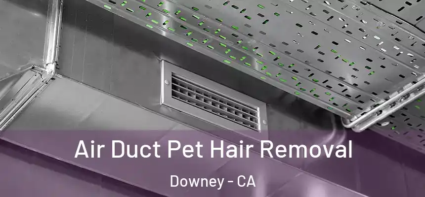 Air Duct Pet Hair Removal Downey - CA