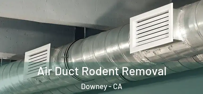 Air Duct Rodent Removal Downey - CA