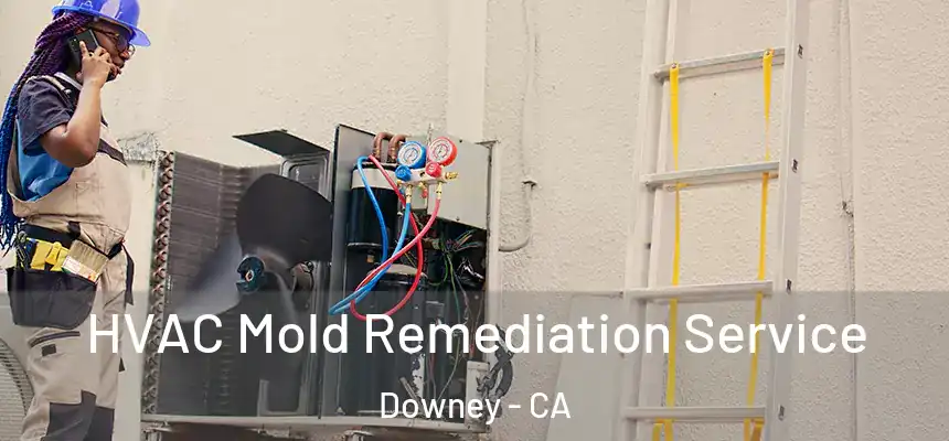  HVAC Mold Remediation Service Downey - CA