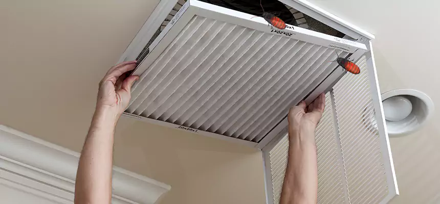 Preventive Cockroach-Proofing for Ducts in Downey