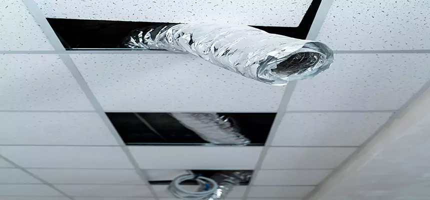 Our Air Duct Pet Hair Removal Services in Downey, CA