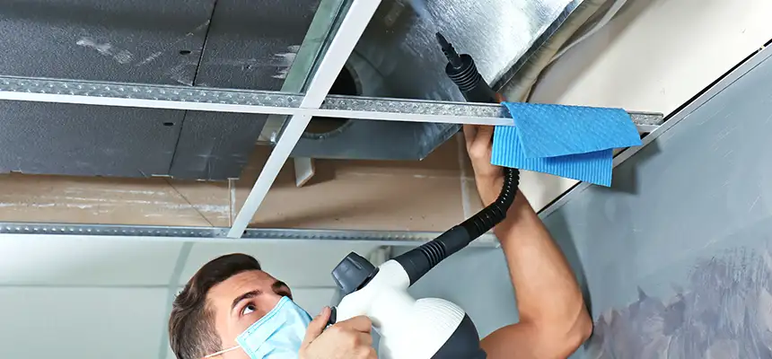 Our Air Duct Rodent Removal Services in Downey, CA