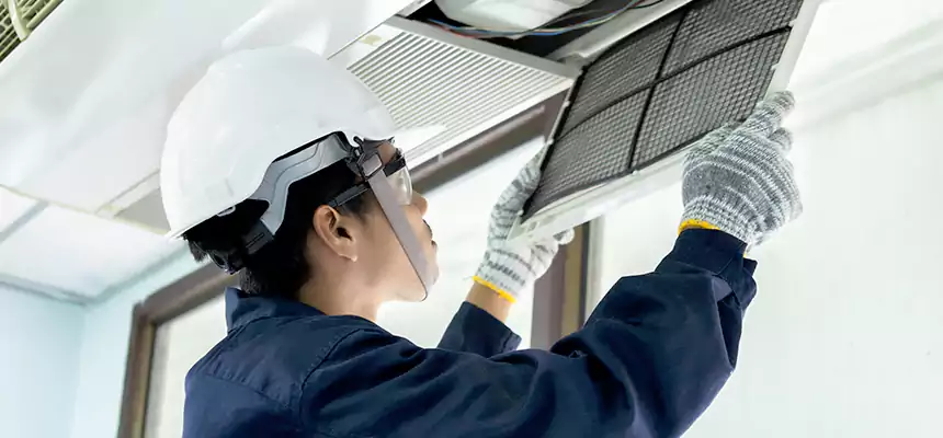 Our Mold & Mildew Removal from Air Ducts Services in Downey, CA