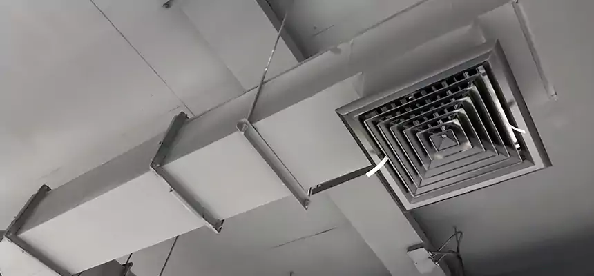 Our Rodent Droppings In Vents Services in Downey, CA