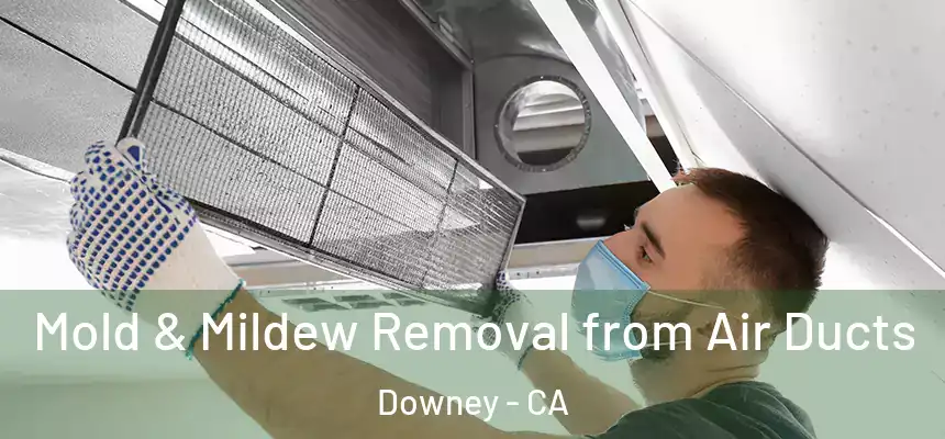 Mold & Mildew Removal from Air Ducts Downey - CA
