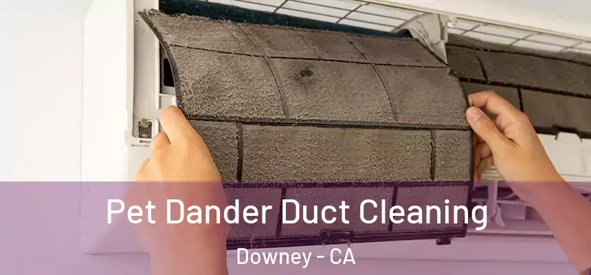 Pet Dander Duct Cleaning Downey - CA