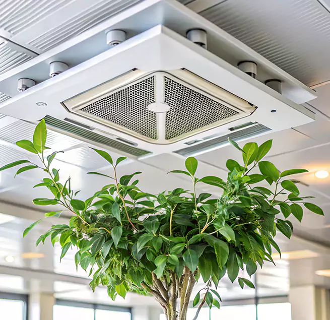 Why Homeowners & Businesses Trust Us in Downey, CA?