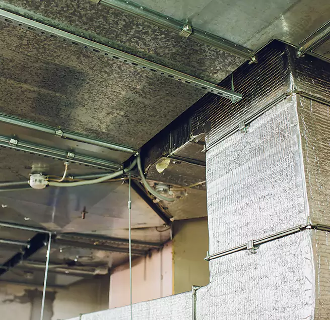 Why Homeowners & Businesses Trust Us in Downey, CA?